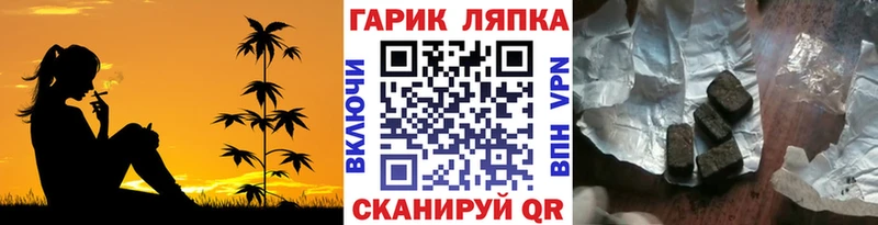 hydra ТОР  Заринск  Гашиш Cannabis 