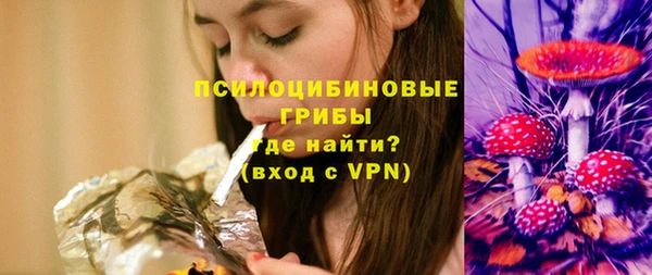 сатива Семилуки