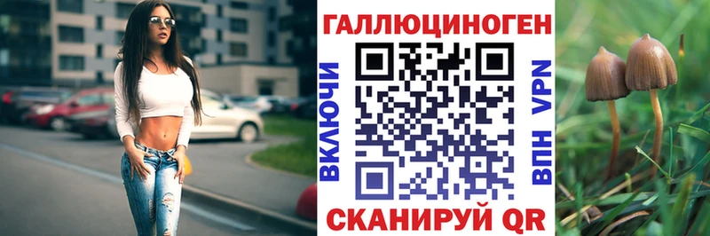 Псилоцибиновые грибы Psilocybine cubensis  Заринск 