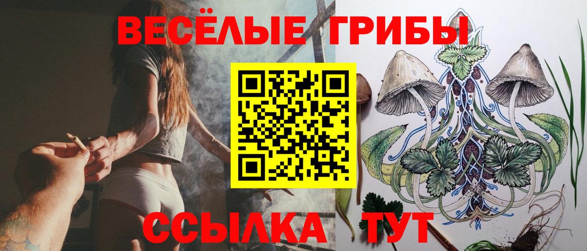 Галлюциногенные грибы Psilocybe Заринск