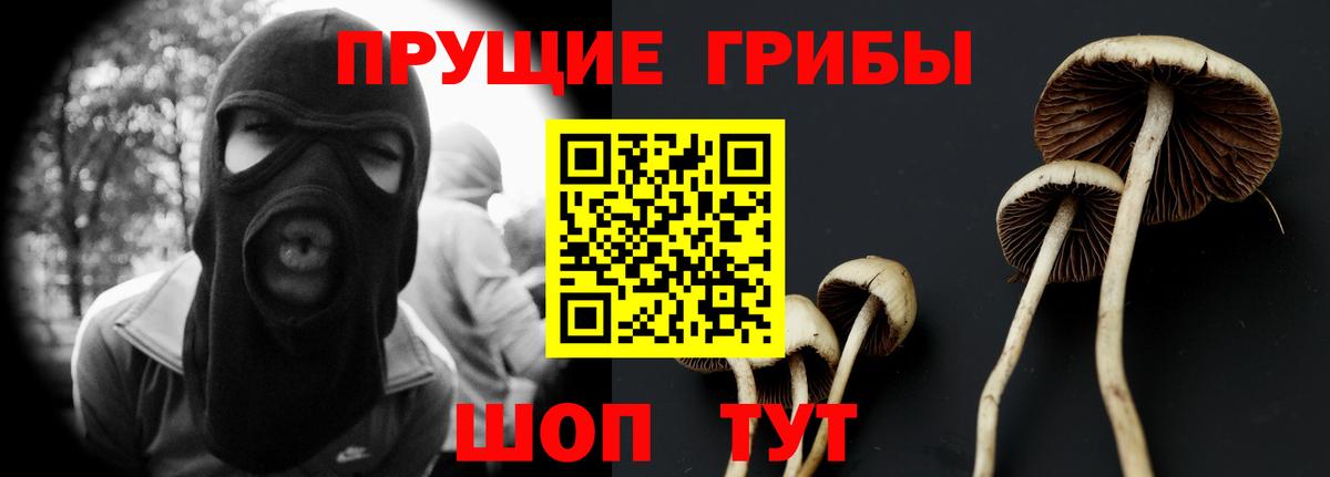 Заринск  Псилоцибиновые грибы Cubensis  Вход с VPN 
